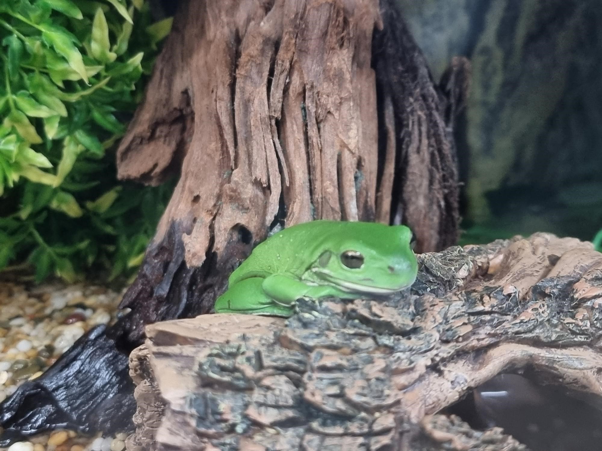 Small Animal Pets Supplies in Toowoomba Pets Galore Pet Shop